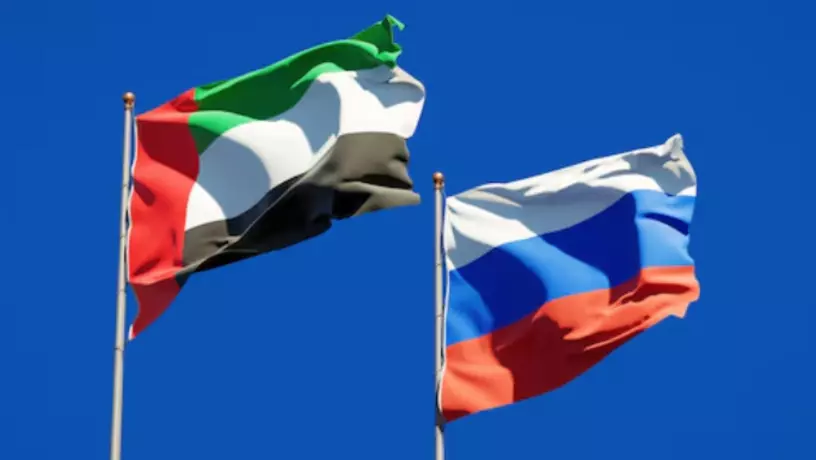 ​Сергей Шойгу встретился с послом ОАЭ в России 