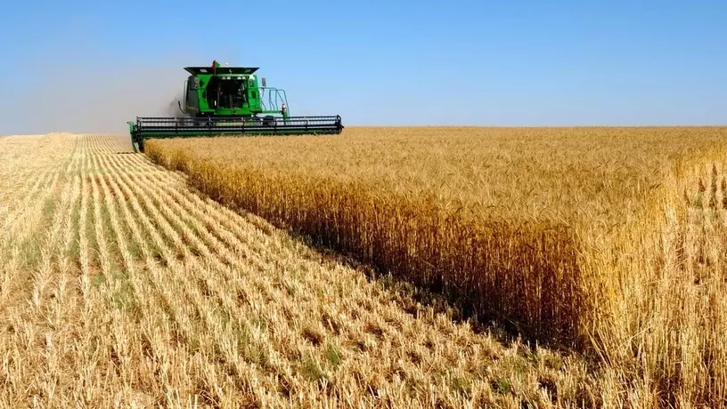Поставки сельхозпродукции из России в Катар вырастут