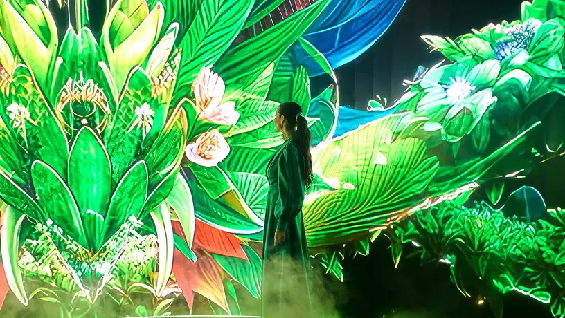 В Дубае в рамках инициативы White Dragon разрушат стереотипы о драконах
