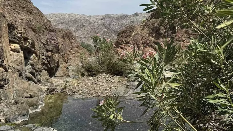 ​В ОАЭ открыли для туристов уникальную достопримечательность 