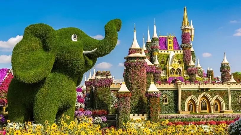 Dubai Miracle Garden сделает вход бесплатным для жителей ОАЭ