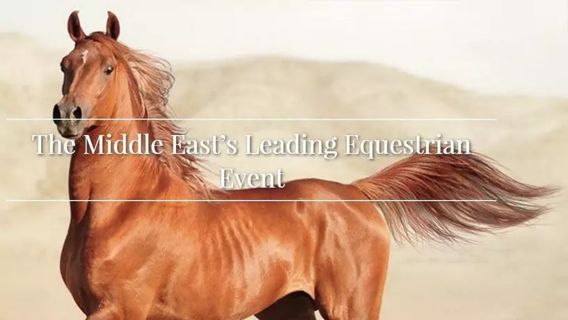 ​Выставка Dubai Horse Fair 2018, Дубай, ОАЭ