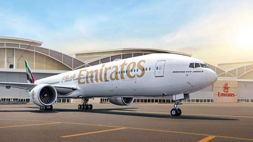 Лайнер Emirates столкнулся с птичьей стаей
